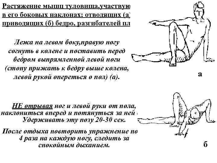 Растяжение мышц туловища, участвующих в его боковых наклонах; отводящих (а) и приводящих (б) бедро,