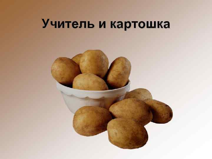 Включи про картошку. Картофель презентация. Картошка для презентации. Картошка для детей. Презентация картошка для детей.