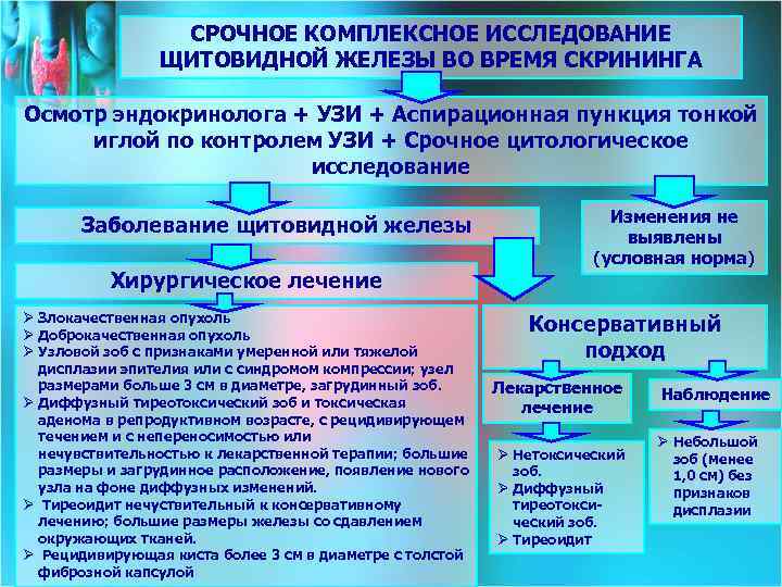 СРОЧНОЕ КОМПЛЕКСНОЕ ИССЛЕДОВАНИЕ ЩИТОВИДНОЙ ЖЕЛЕЗЫ ВО ВРЕМЯ СКРИНИНГА Осмотр эндокринолога + УЗИ + Аспирационная