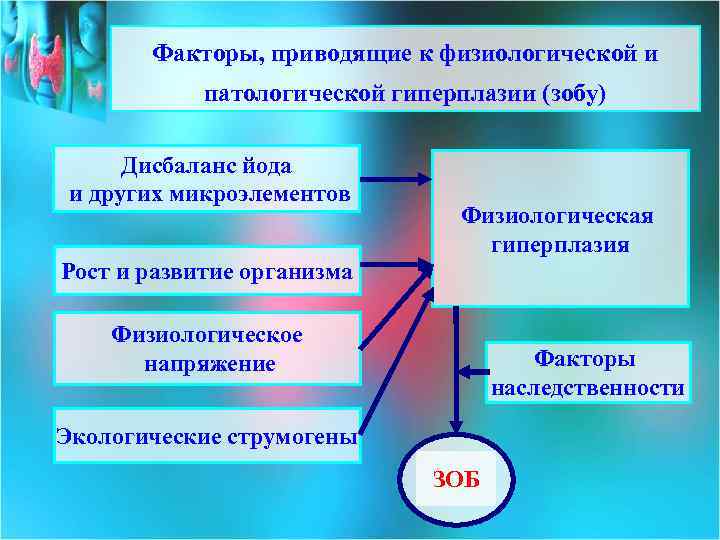Факторы, приводящие к физиологической и патологической гиперплазии (зобу) Дисбаланс йода и других микроэлементов Физиологическая
