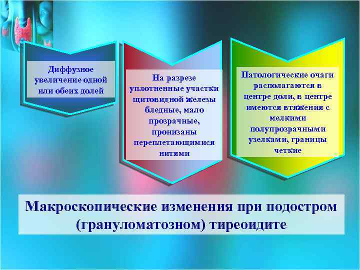 Диффузное увеличение одной или обеих долей На разрезе уплотненные участки щитовидной железы бледные, мало