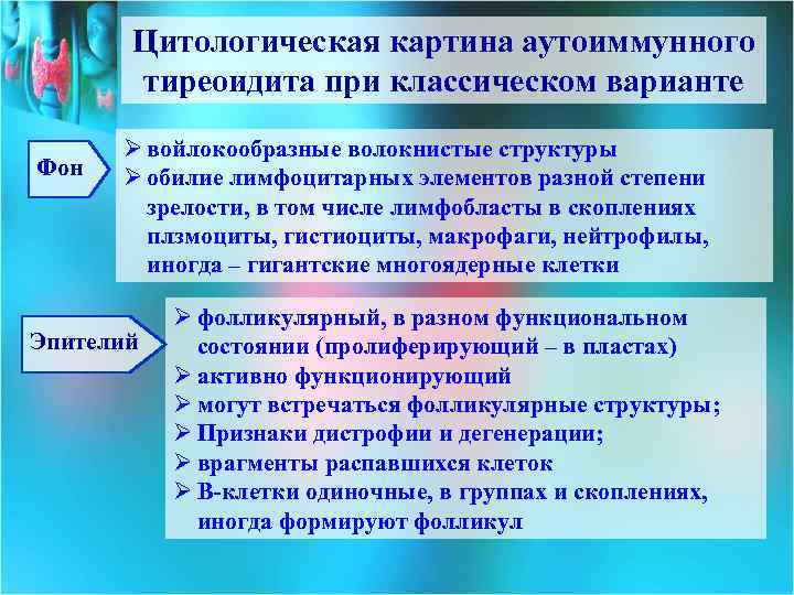 Цитологическая картина аутоиммунного тиреоидита при классическом варианте Фон Ø войлокообразные волокнистые структуры Ø обилие