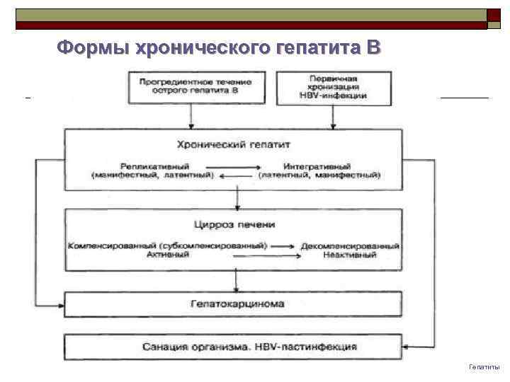 Формы хронического гепатита B Гепатиты 