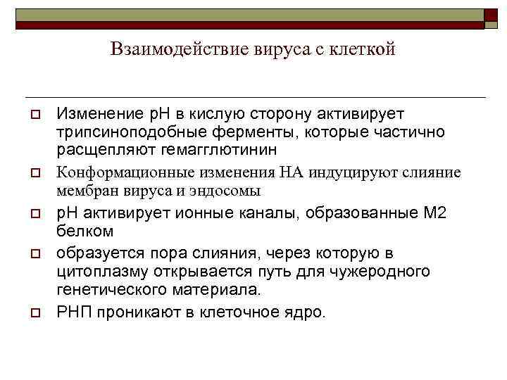 Взаимодействие вируса с клеткой o o o Изменение р. Н в кислую сторону активирует