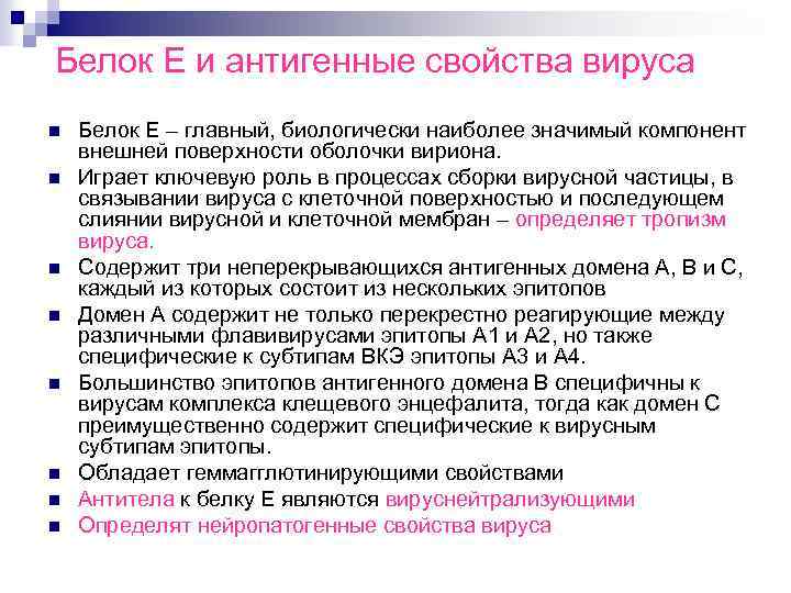 Белок Е и антигенные свойства вируса n n n n Белок Е – главный,
