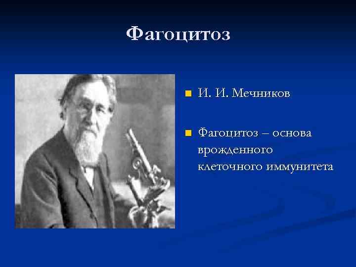 Фагоцитоз n И. И. Мечников n Фагоцитоз – основа врожденного клеточного иммунитета 