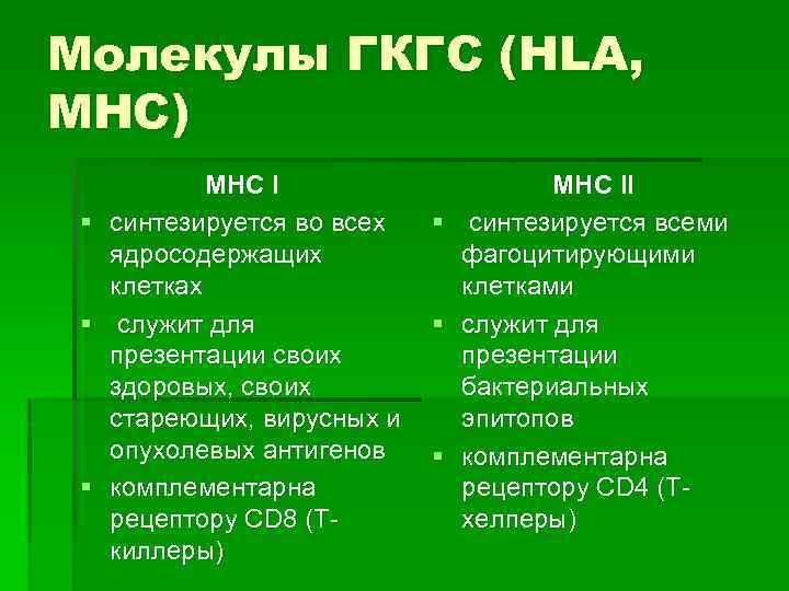 Молекулы ГКГС (HLA, MHC) § § § МНС I синтезируется во всех ядросодержащих клетках