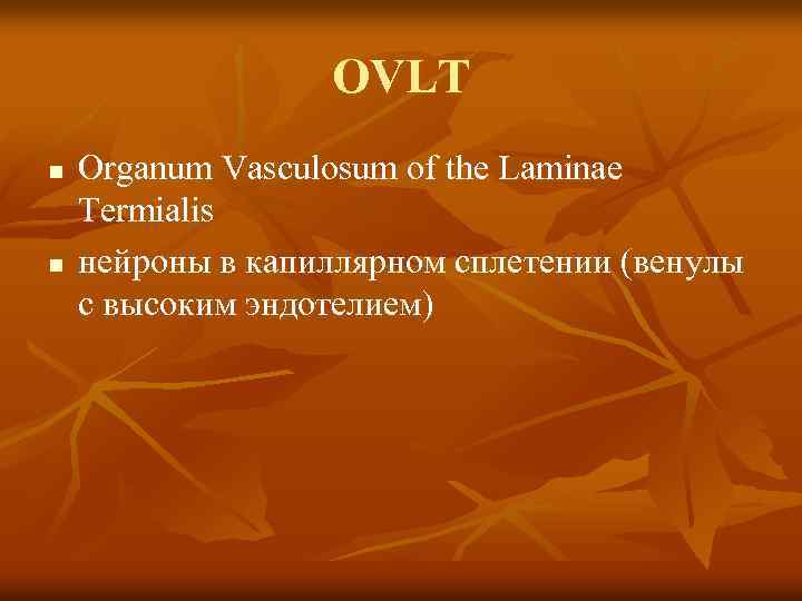 OVLT n n Organum Vasculosum of the Laminae Termialis нейроны в капиллярном сплетении (венулы