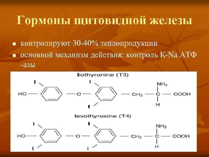 Гормоны щитовидной железы n n контролируют 30 -40% теплопродукции основной механизм действия: контроль К-Na