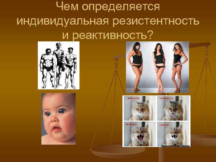 Чем определяется индивидуальная резистентность и реактивность? 