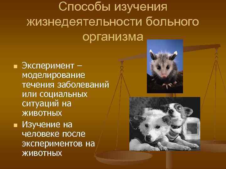 Способы изучения жизнедеятельности больного организма n n Эксперимент – моделирование течения заболеваний или социальных