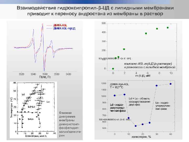 Взаимодействие гидроксипропил-β-ЦД с липидными мембранами приводит к переносу андростана из мембраны в раствор Фазовая