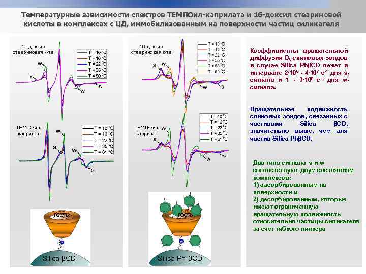 Температурные зависимости спектров ТЕМПОил-каприлата и 16 -доксил стеариновой кислоты в комплексах с ЦД, иммобилизованным