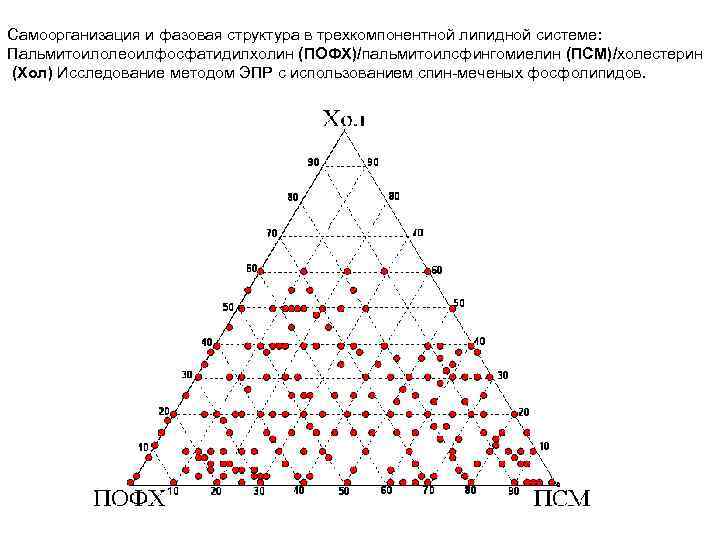 Самоорганизация и фазовая структура в трехкомпонентной липидной системе: Пальмитоилолеоилфосфатидилхолин (ПОФХ)/пальмитоилсфингомиелин (ПСМ)/холестерин (Хол) Исследование методом