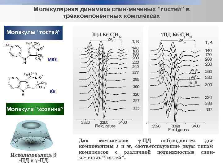 Молекулярная динамика спин-меченых “гостей” в трехкомпонентных комплексах Молекулы “гостей” МК 5 К 6 Молекула