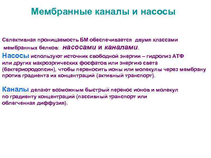 Мембранные каналы и насосы Селективная проницаемость БМ обеспечивается двумя классами мембранных белков: насосами и