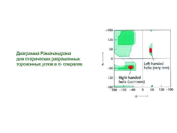 Карта рамачандрана для аминокислот