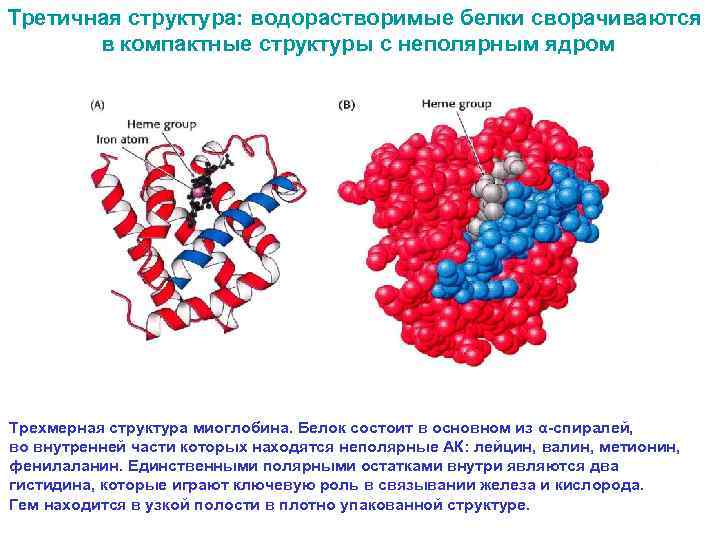 Третичная структура связи