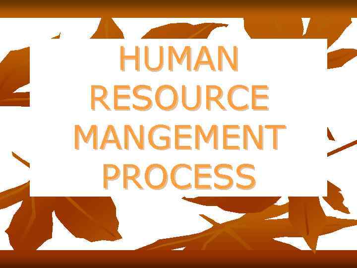 HUMAN RESOURCE MANGEMENT PROCESS 