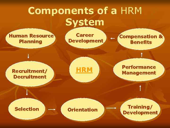 Components of a HRM System Human Resource Planning Recruitment/ Decruitment Selection Career Development HRM