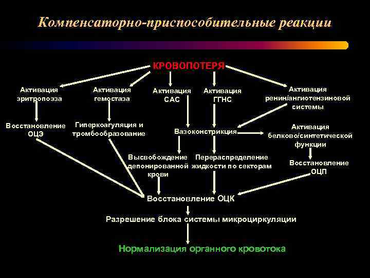 Схема защитно приспособительных механизмов организма при умирании