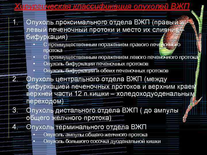 Хирургическая классификация опухолей ВЖП 1. Опухоль проксимального отдела ВЖП (правый и левый печеночный протоки
