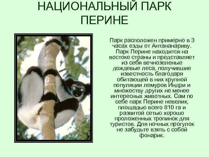 НАЦИОНАЛЬНЫЙ ПАРК ПЕРИНЕ Парк расположен примерно в 3 часах езды от Антананариву. Парк Перине