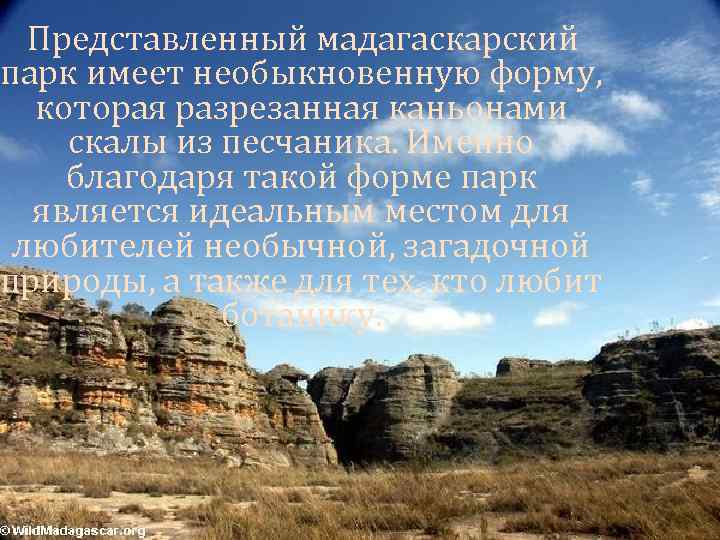 Представленный мадагаскарский парк имеет необыкновенную форму, которая разрезанная каньонами скалы из песчаника. Именно благодаря