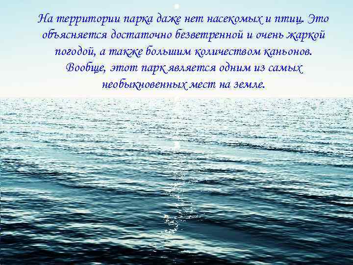 На территории парка даже нет насекомых и птиц. Это объясняется достаточно безветренной и очень