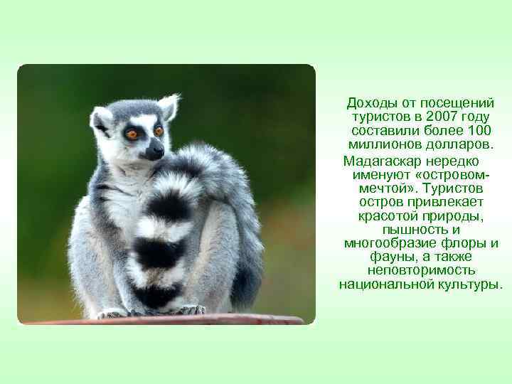 Доходы от посещений туристов в 2007 году составили более 100 миллионов долларов. Мадагаскар нередко