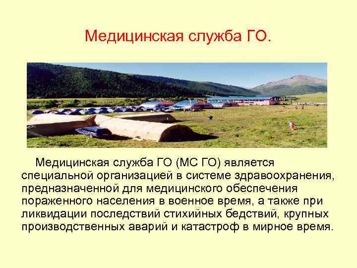 Медицинская служба ГО. Медицинская служба ГО (МС ГО) является специальной организацией в системе здравоохранения,