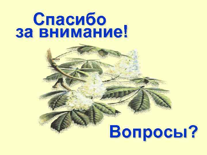 Спасибо за внимание! Вопросы? 