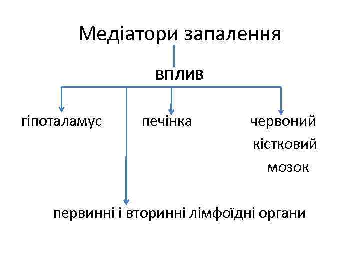 Медіатори запалення ВПЛИВ гіпоталамус печінка червоний кістковий мозок первинні і вторинні лімфоїдні органи 
