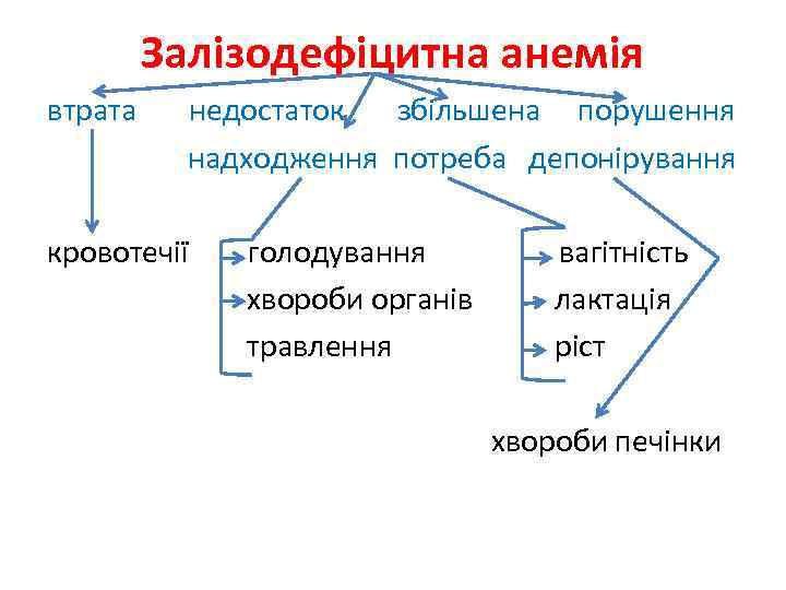 Залізодефіцитна анемія втрата недостаток збільшена порушення надходження потреба депонірування кровотечії голодування хвороби органів травлення