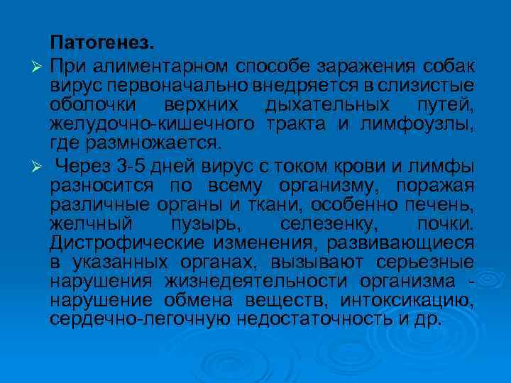Патогенез. Ø При алиментарном способе заражения собак вирус первоначально внедряется в слизистые оболочки верхних