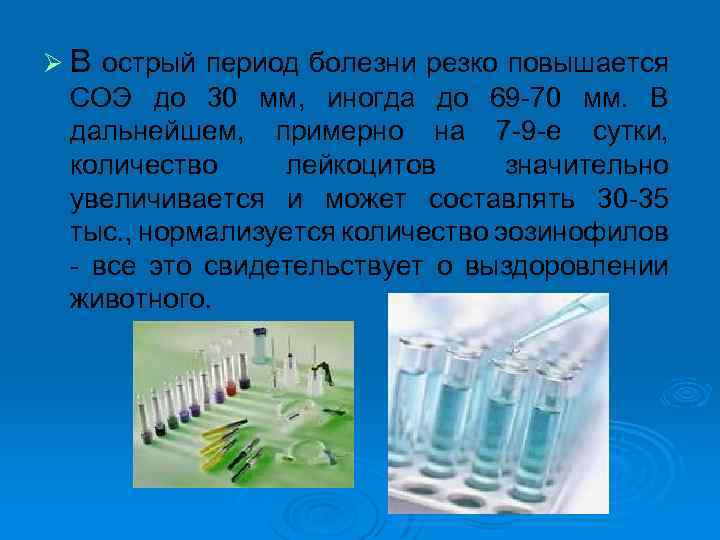 Ø В острый период болезни резко повышается СОЭ до 30 мм, иногда до 69