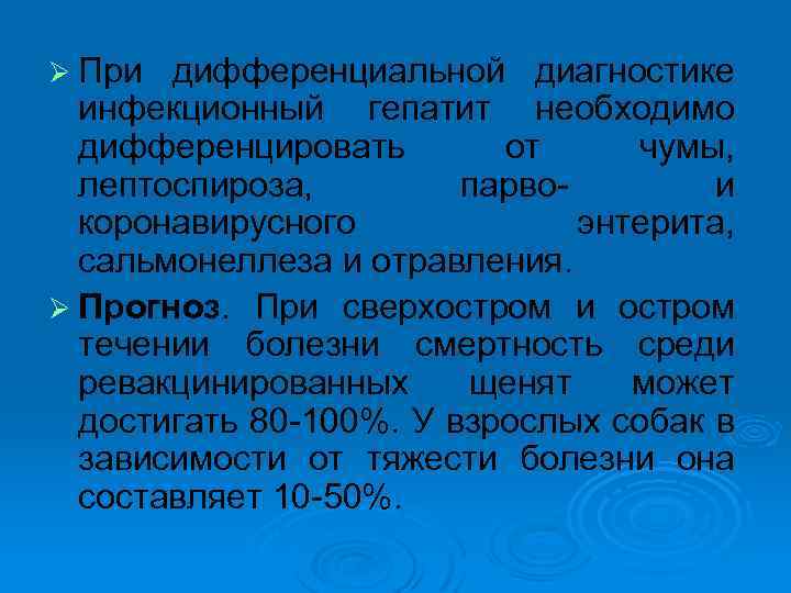 Инфекционный гепатит у собак презентация