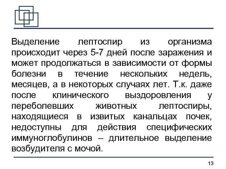 Выделение лептоспир из организма происходит через 5 -7 дней после заражения и может продолжаться