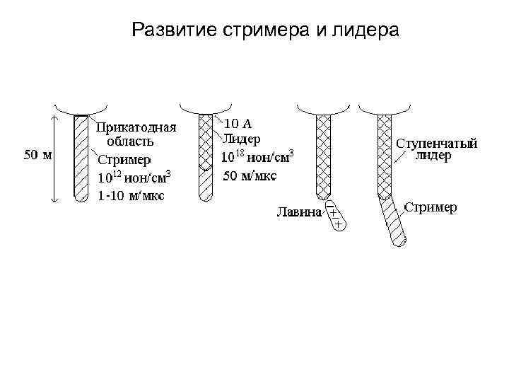 Развитие стримера и лидера 