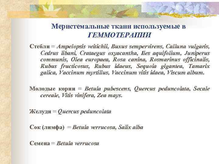 Меристемальные ткани используемые в ГЕММОТЕРАПИИ Стебли = Ampelopsis veitichii, Buxus sempervirens, Calluna vulgaris, Cedrus