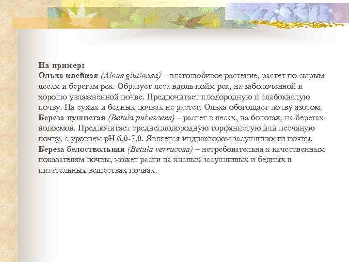 На пример: Ольха клейкая (Alnus glutinosa) – влаголюбивое растение, растет по сырым лесам и