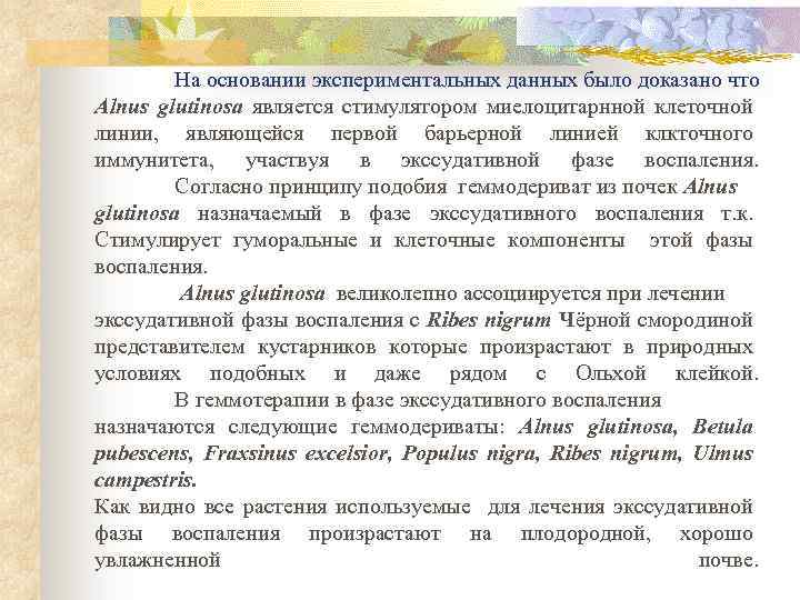 На основании экспериментальных данных было доказано что Alnus glutinosa является стимулятором миелоцитарнной клеточной линии,