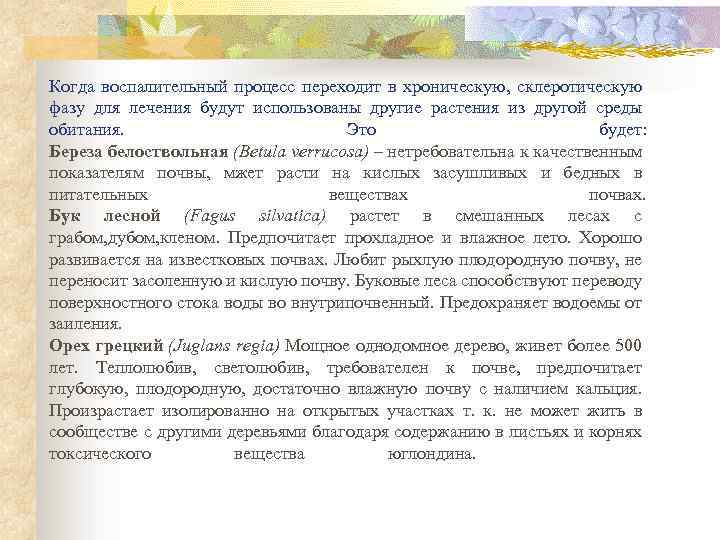 Когда воспалительный процесс переходит в хроническую, склеротическую фазу для лечения будут использованы другие растения
