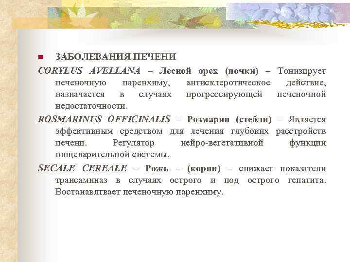 ЗАБОЛЕВАНИЯ ПЕЧЕНИ CORYLUS AVELLANA – Лесной орех (почки) – Тонизирует печеночную паренхиму, антисклеротическое действие,