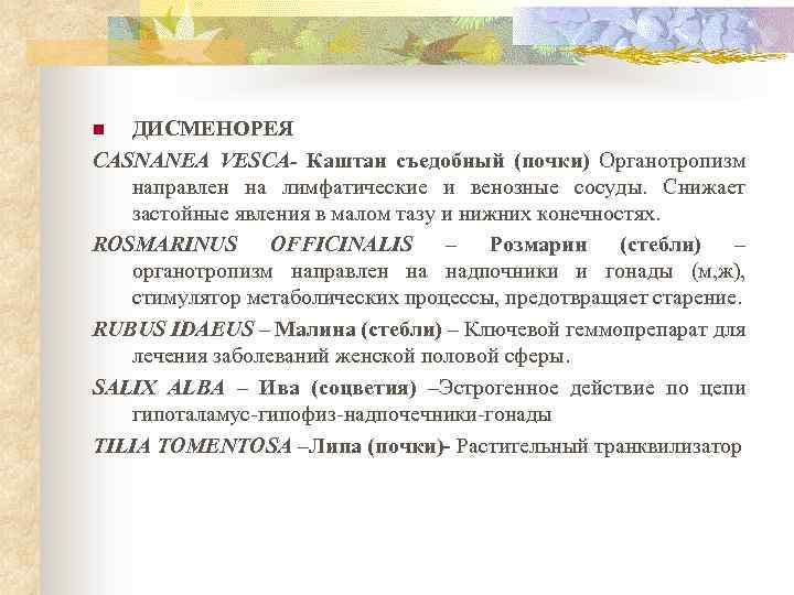 ДИСМЕНОРЕЯ CASNANEA VESCA- Каштан съедобный (почки) Органотропизм направлен на лимфатические и венозные сосуды. Снижает