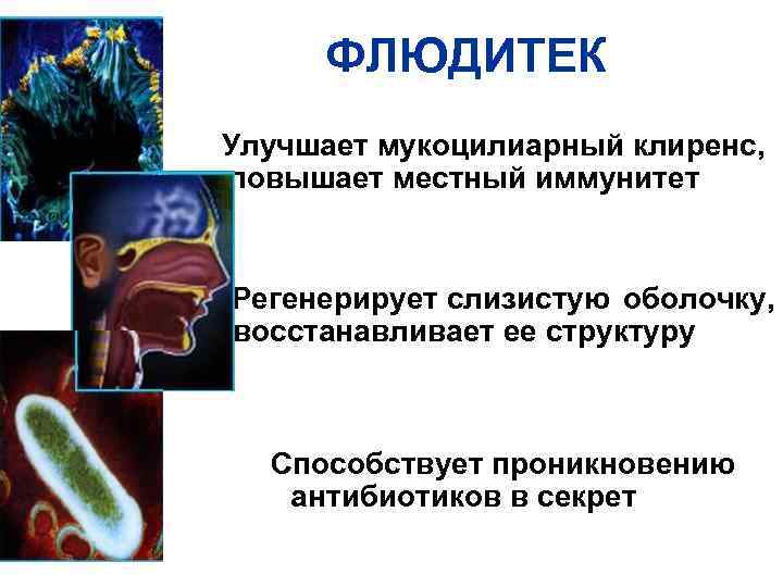 ФЛЮДИТЕК Улучшает мукоцилиарный клиренс, повышает местный иммунитет Регенерирует слизистую оболочку, восстанавливает ее структуру Способствует