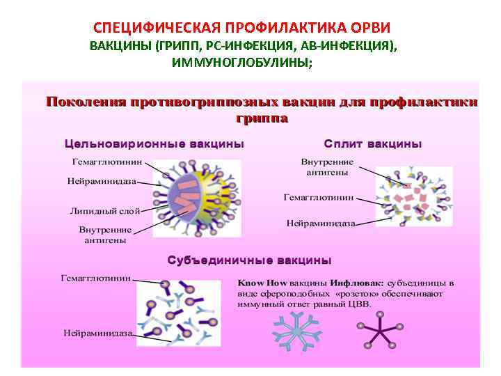 СПЕЦИФИЧЕСКАЯ ПРОФИЛАКТИКА ОРВИ ВАКЦИНЫ (ГРИПП, РС-ИНФЕКЦИЯ, АВ-ИНФЕКЦИЯ), ИММУНОГЛОБУЛИНЫ; 