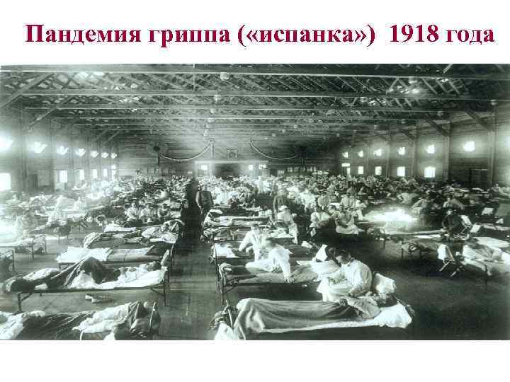 Пандемия гриппа ( «испанка» ) 1918 года 
