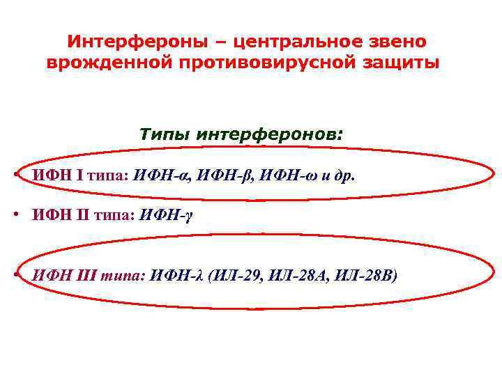 Интерфероны – центральное звено врожденной противовирусной защиты Типы интерферонов: • ИФН I типа: ИФН-α,