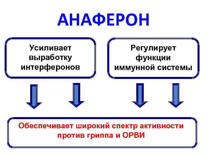 АНАФЕРОН Усиливает выработку интерферонов Регулирует функции иммунной системы Обеспечивает широкий спектр активности против гриппа